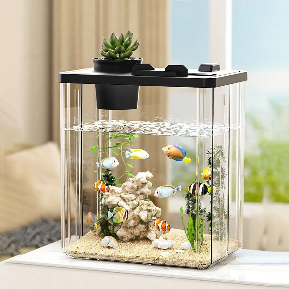 Marine Aquarium With Sump - Aquarium de bureau avec pompe à