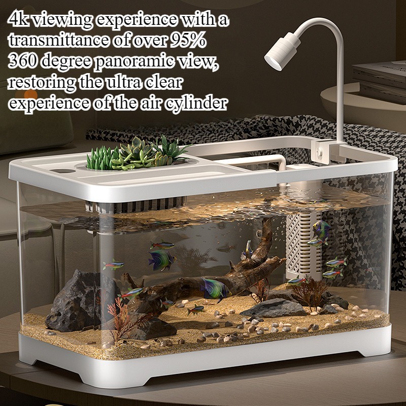 Marine Aquarium With Sump - Aquarium domestique pour salon, aquarium de
