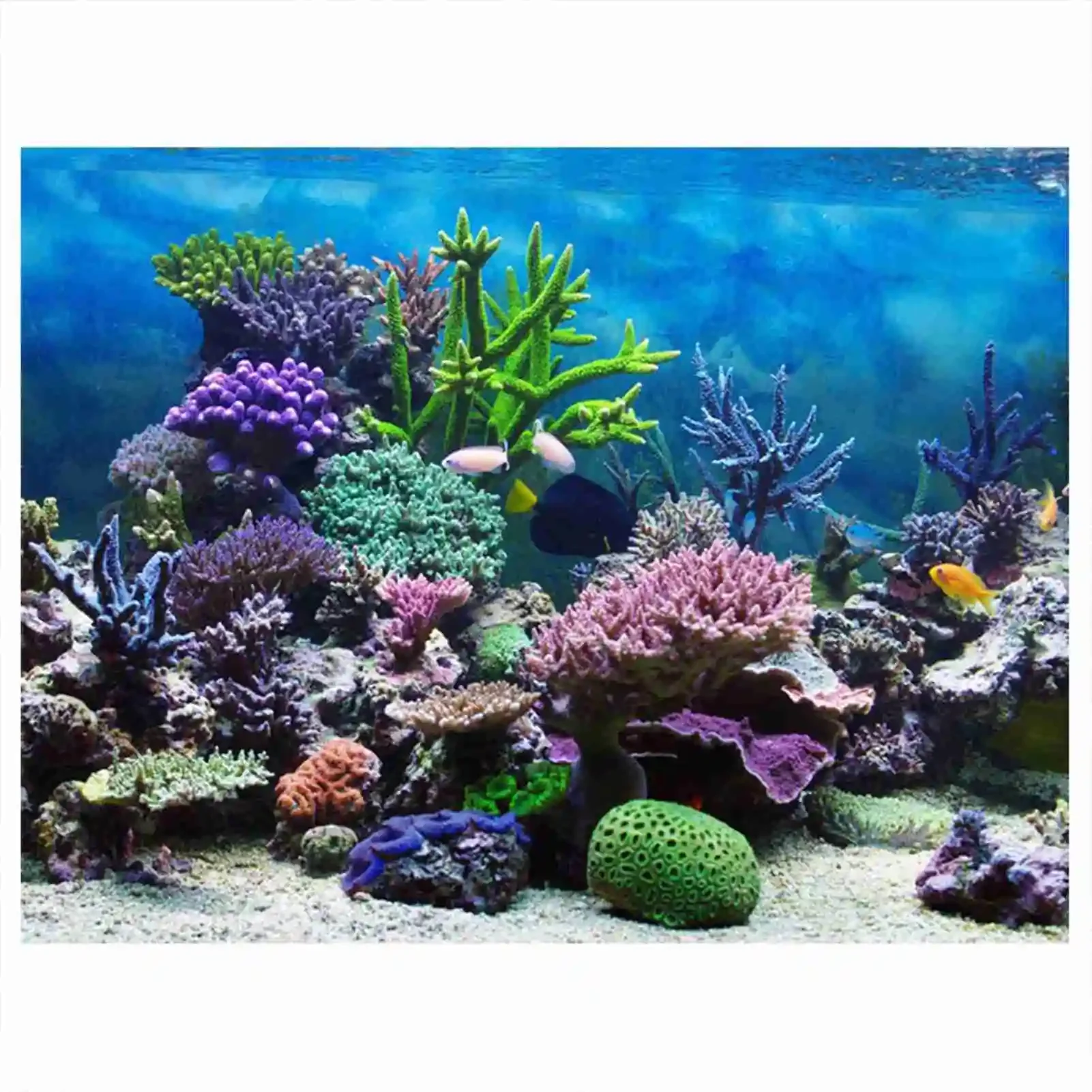 Marine Aquarium Glue - Affiche de paysage d'aquarium 3D, papier