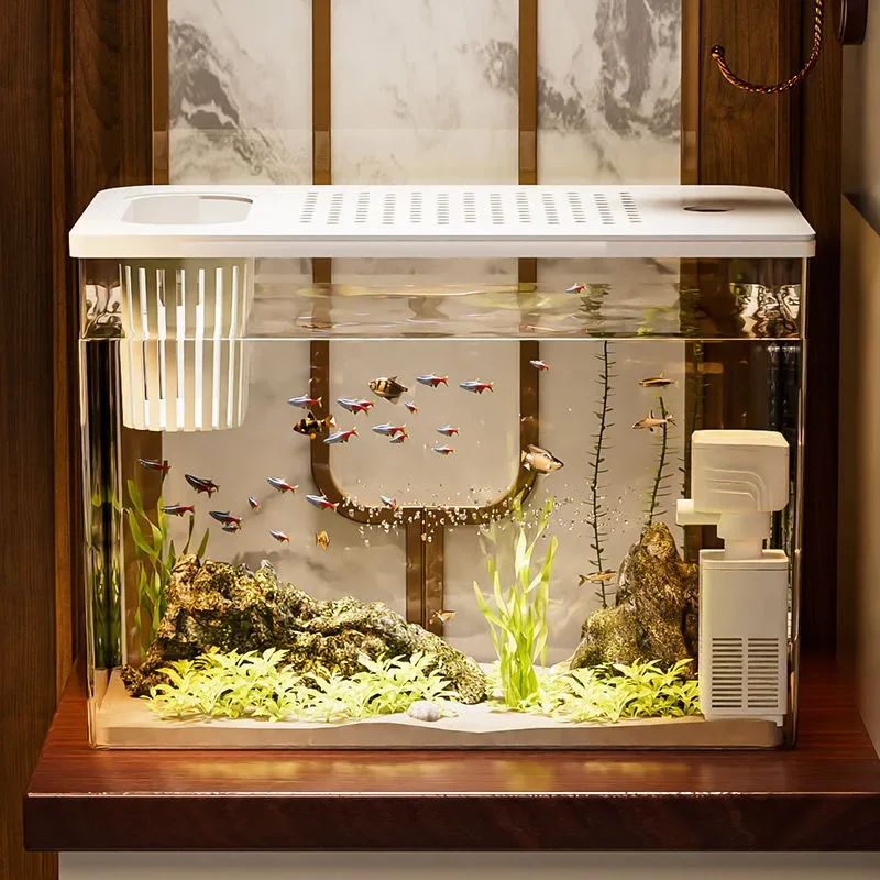 Marine Aquarium With Sump - PET + ABS Aquarium nouveau Transparent