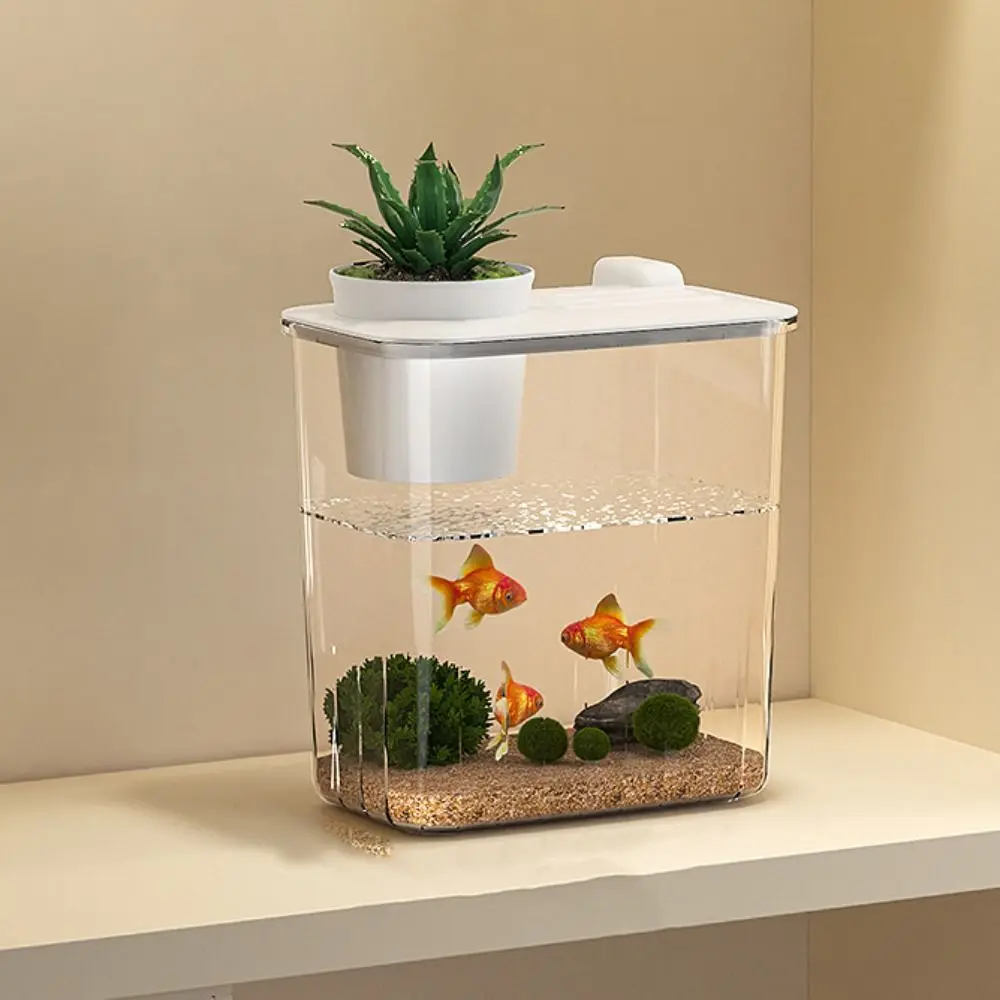 Aquarium de bureau avec pompe  - Marine Aquarium With Sump avis et prix