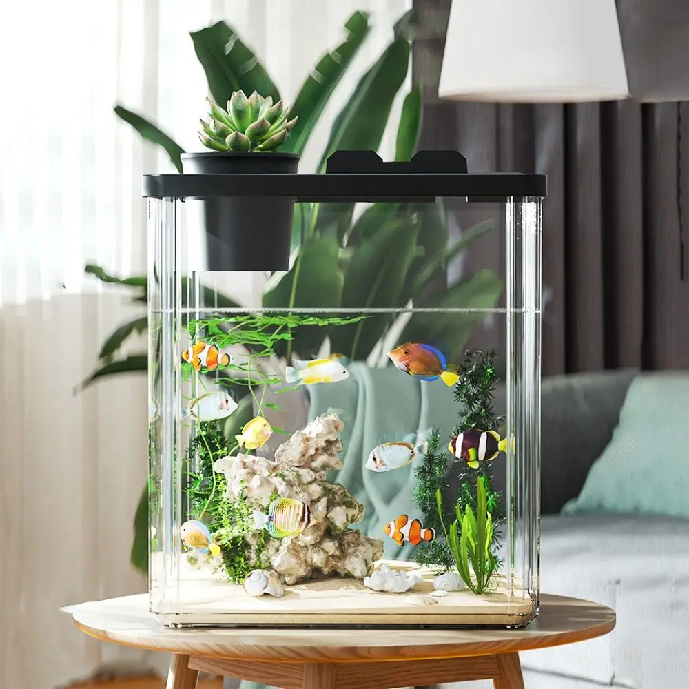 Aquarium de bureau avec pompe  - Marine Aquarium With Sump avis et prix