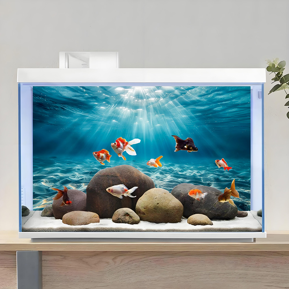 Peinture de fond pour aquarium - Marine Aquarium Glue avis et prix