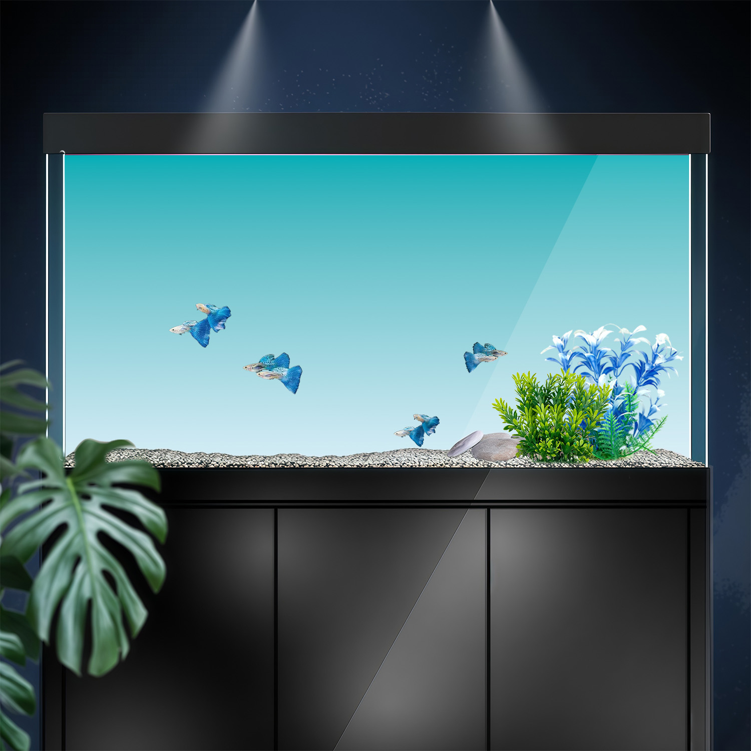 Dégradé bleu et blanc, peintur - Marine Aquarium Glue avis et prix