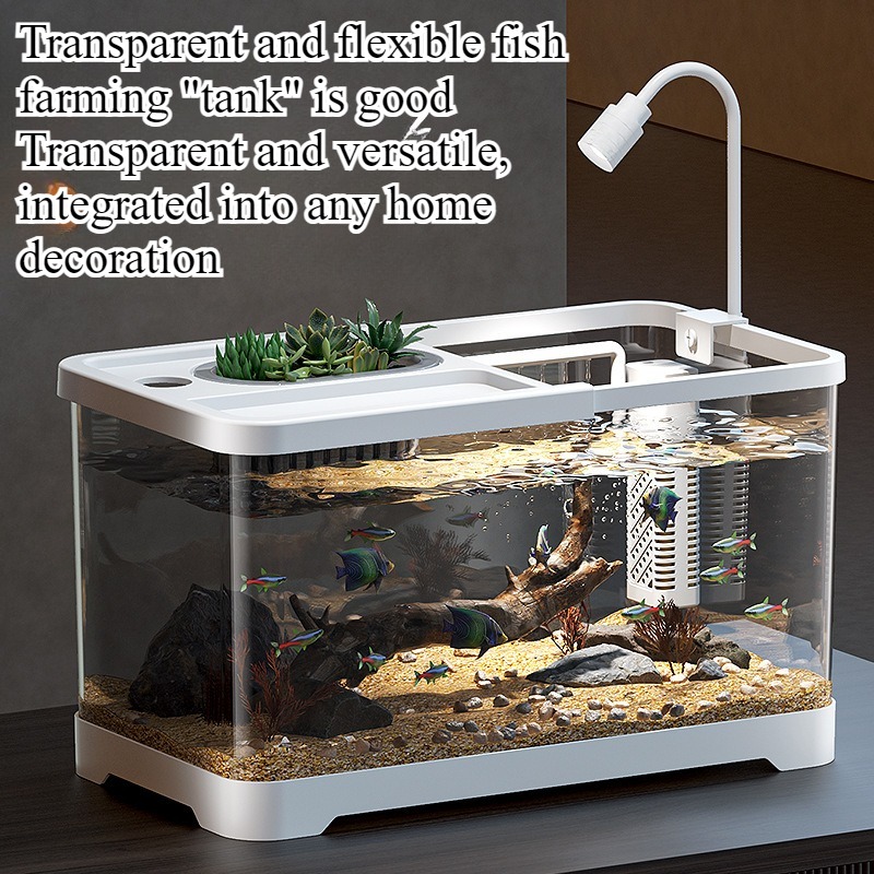 Aquarium domestique pour salon - Marine Aquarium With Sump avis et prix