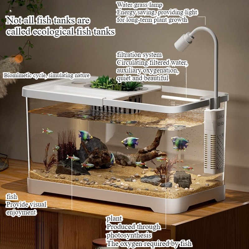Aquarium domestique pour salon - Marine Aquarium With Sump avis et prix