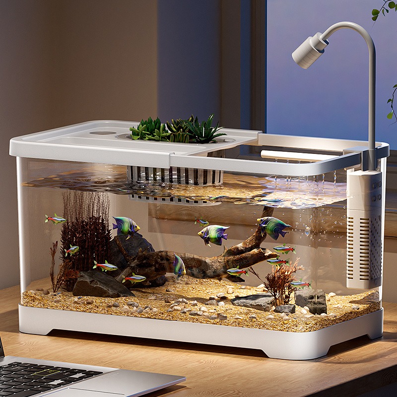 Aquarium domestique pour salon - Marine Aquarium With Sump avis et prix
