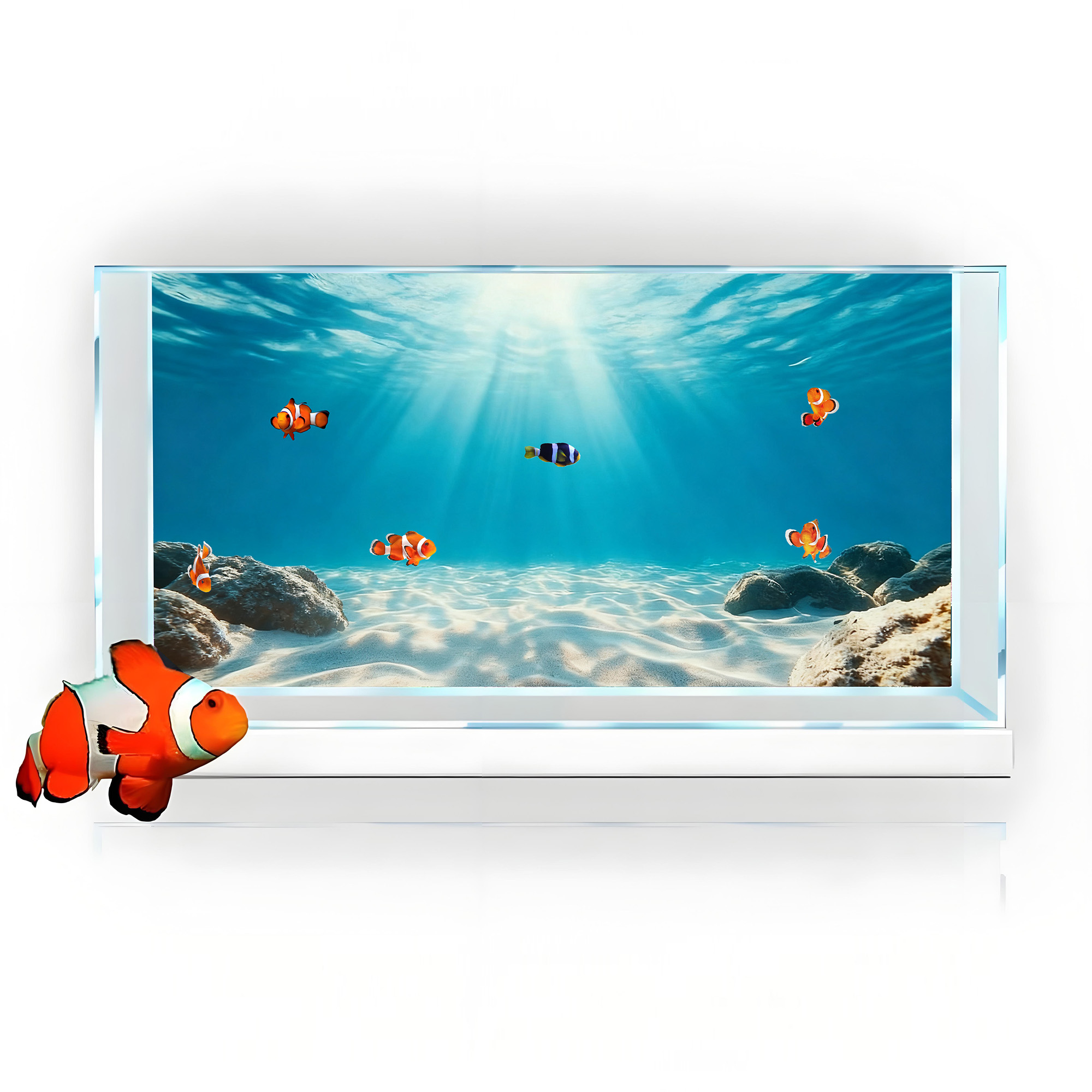 Sable bleu transparent, peintu - Marine Aquarium Glue avis et prix