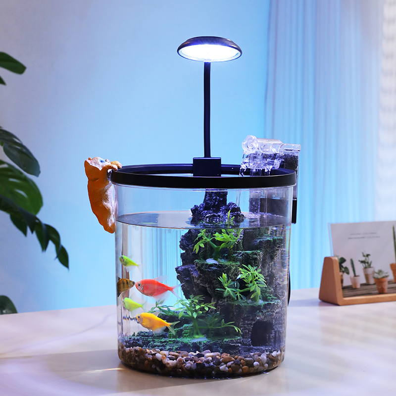 Bol à poisson rouge rond compa - Marine Aquarium With Sump avis et prix