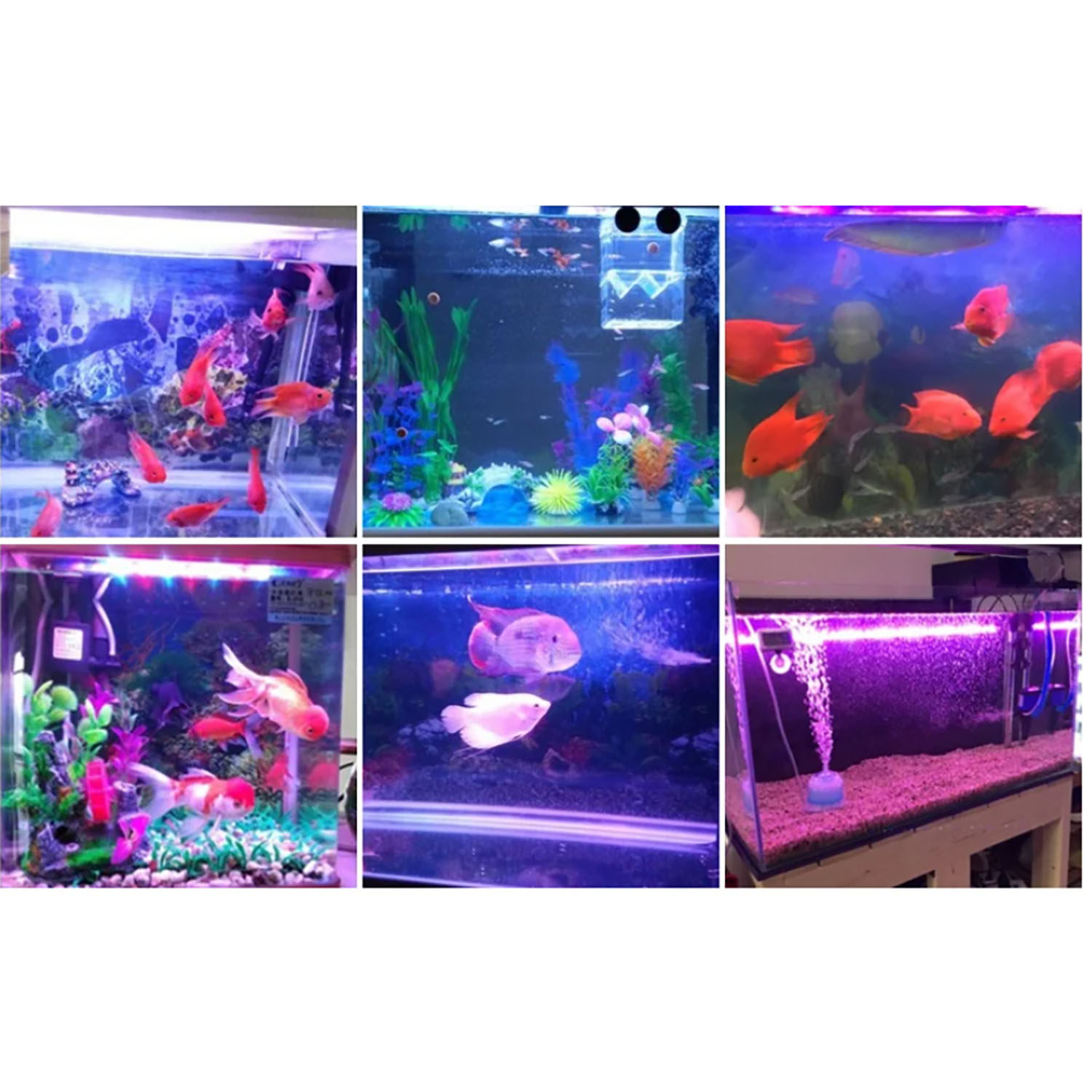 Éclairage LED pour aquarium ma - Marine Aquarium Uv Light avis et prix