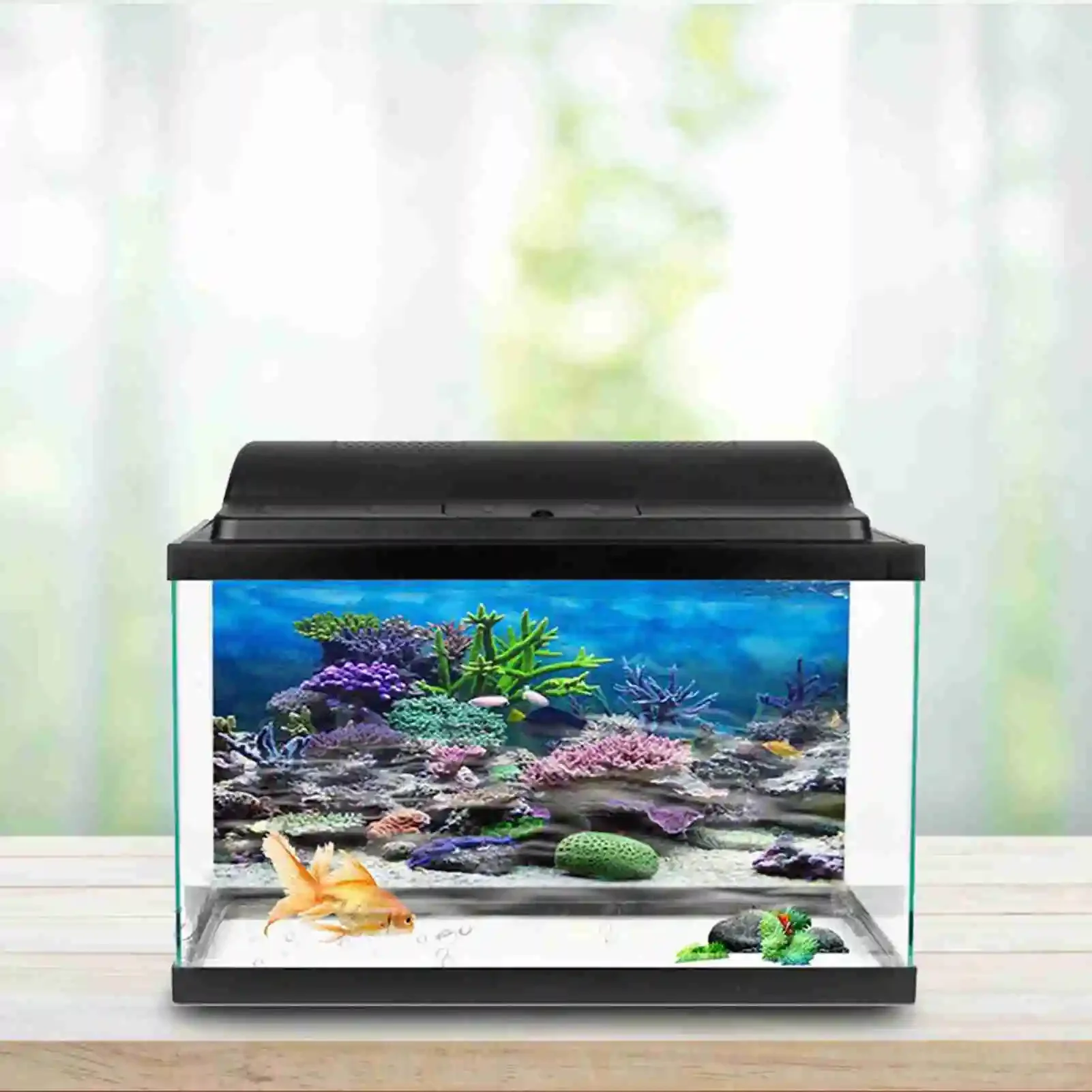 Affiche de paysage d'aquarium  - Marine Aquarium Glue avis et prix