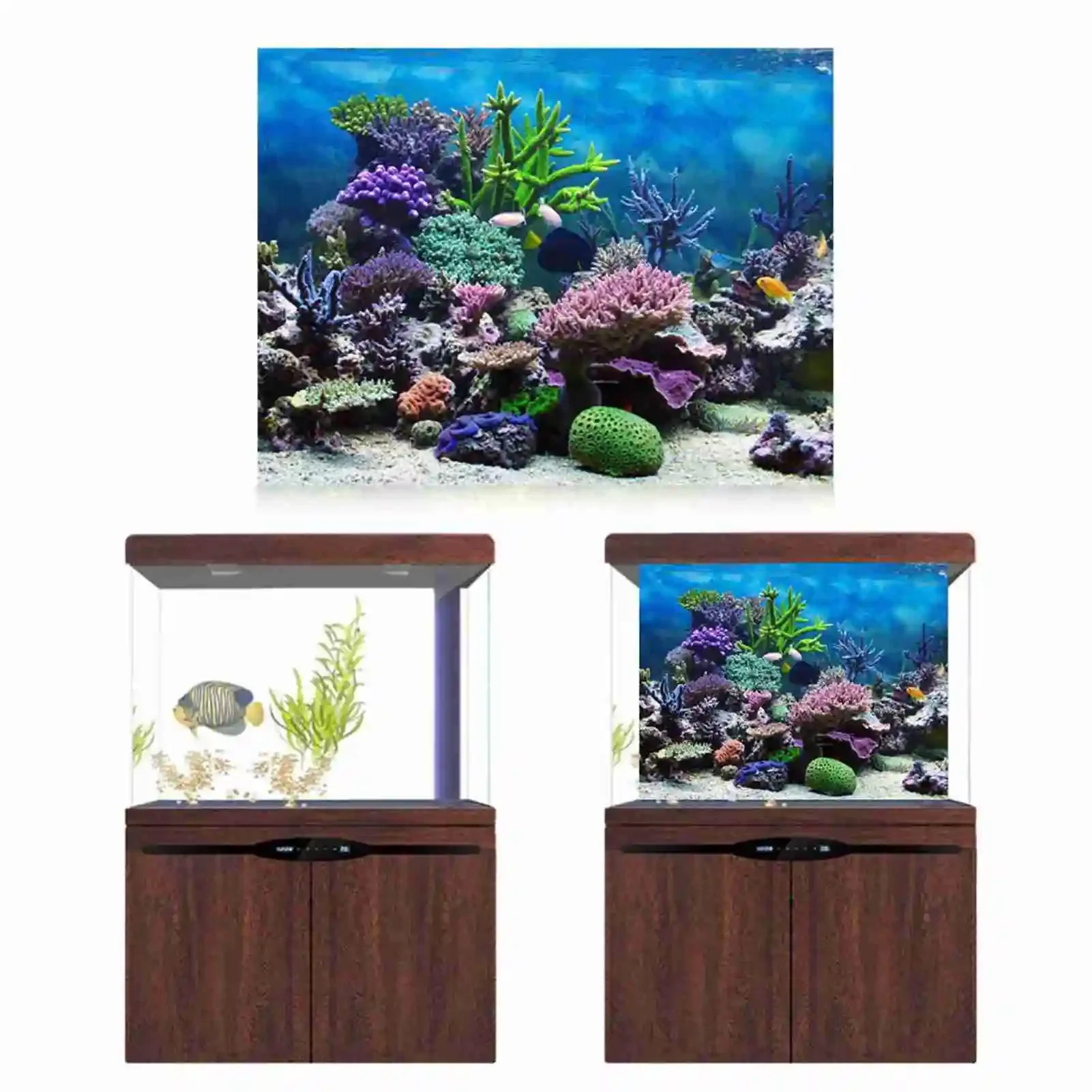 Affiche de paysage d'aquarium  - Marine Aquarium Glue avis et prix
