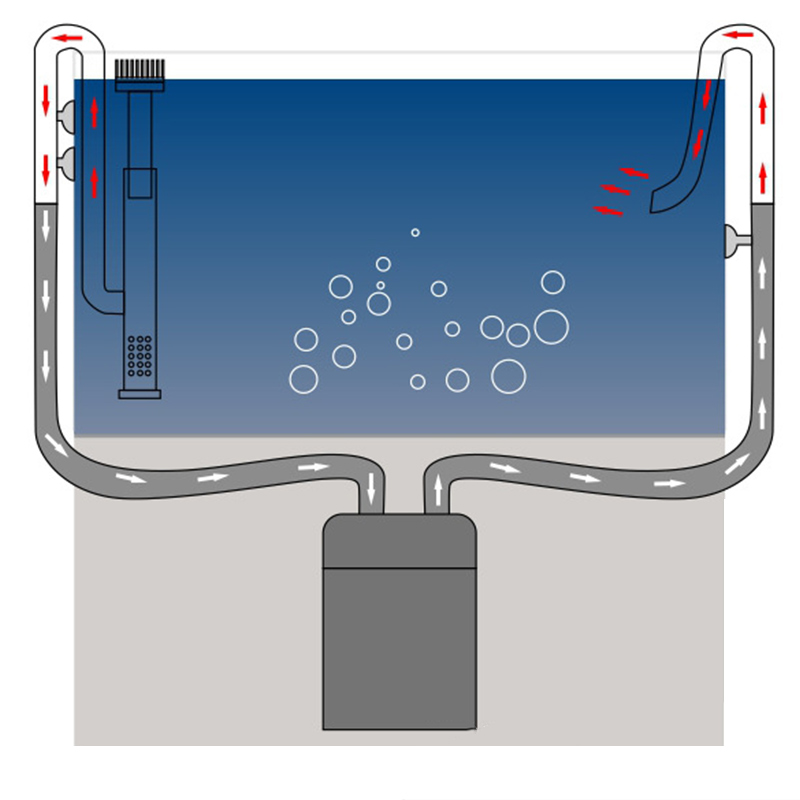 Tuyau de lys en acier inoxydab - Marine Aquarium With Sump avis et prix