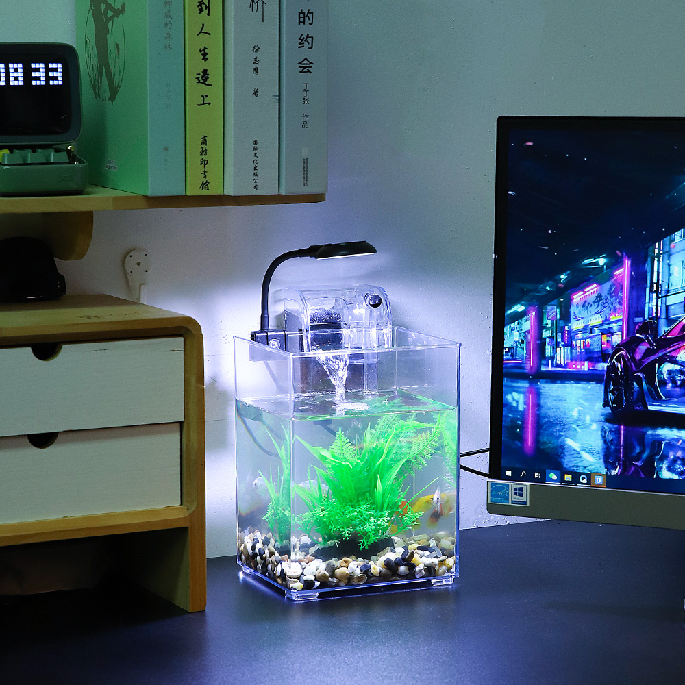 Ensemble précieux de poisson d - Marine Aquarium With Sump avis et prix