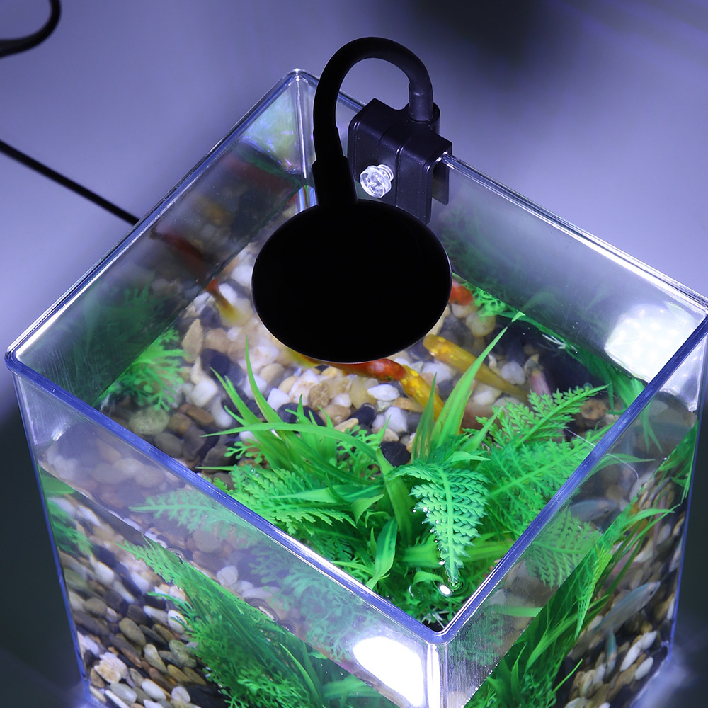Ensemble précieux de poisson d - Marine Aquarium With Sump avis et prix